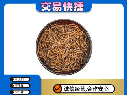 葫芦岛回收散虫草